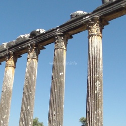 20Haziran2011