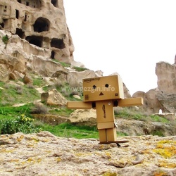 Danbo-Karma-2013