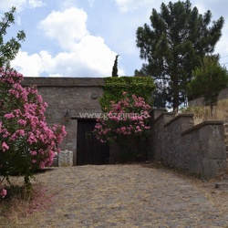 Behramkale-Adatepe-2016